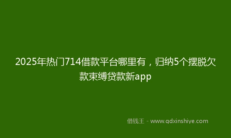 2025年热门714借款平台哪里有，归纳5个摆脱欠款束缚贷款新app
