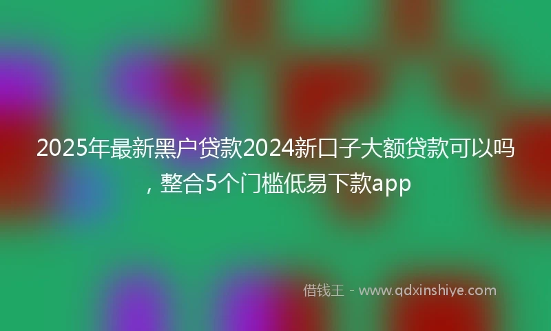 2025年最新黑户贷款2024新口子大额贷款可以吗，整合5个门槛低易下款app
