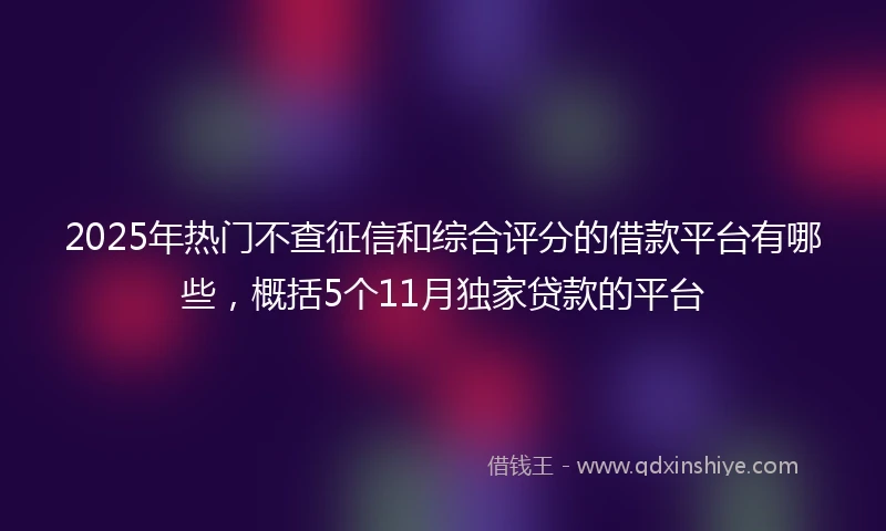 2025年热门不查征信和综合评分的借款平台有哪些，概括5个11月独家贷款的平台