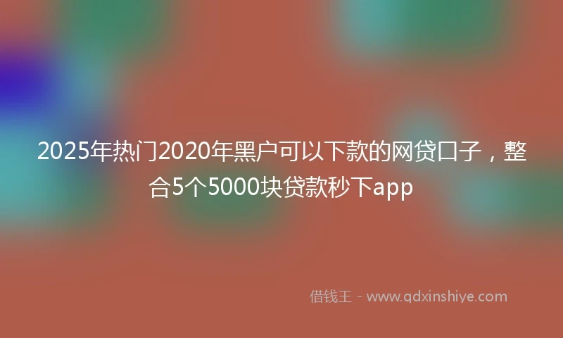 2025年热门2020年黑户可以下款的网贷口子，整合5个5000块贷款秒下app