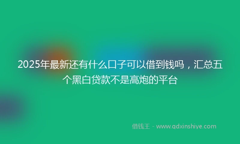 2025年最新还有什么口子可以借到钱吗，汇总五个黑白贷款不是高炮的平台