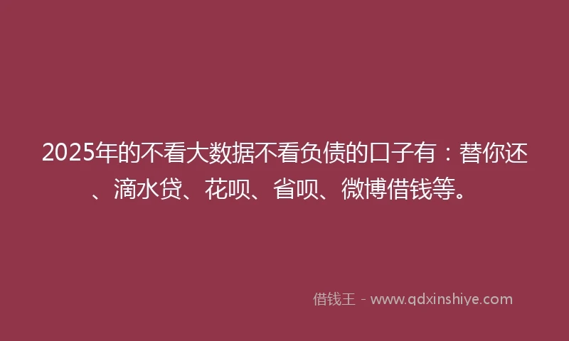 2025年的不看大数据不看负债的口子有：替你还、滴水贷、花呗、省呗、微博借钱等。