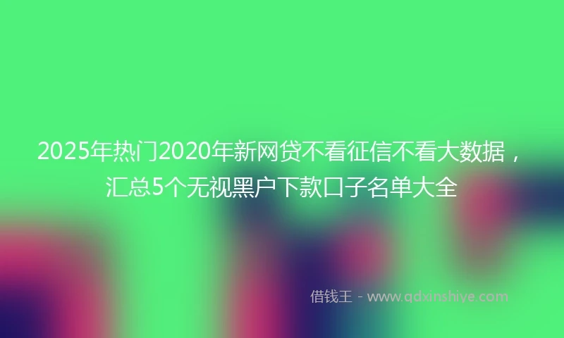 2025年热门2020年新网贷不看征信不看大数据，汇总5个无视黑户下款口子名单大全