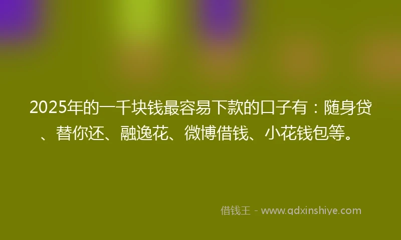 2025年的一千块钱最容易下款的口子有：随身贷、替你还、融逸花、微博借钱、小花钱包等。