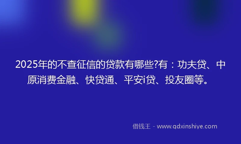 2025年的不查征信的贷款有哪些?有：功夫贷、中原消费金融、快贷通、平安i贷、投友圈等。