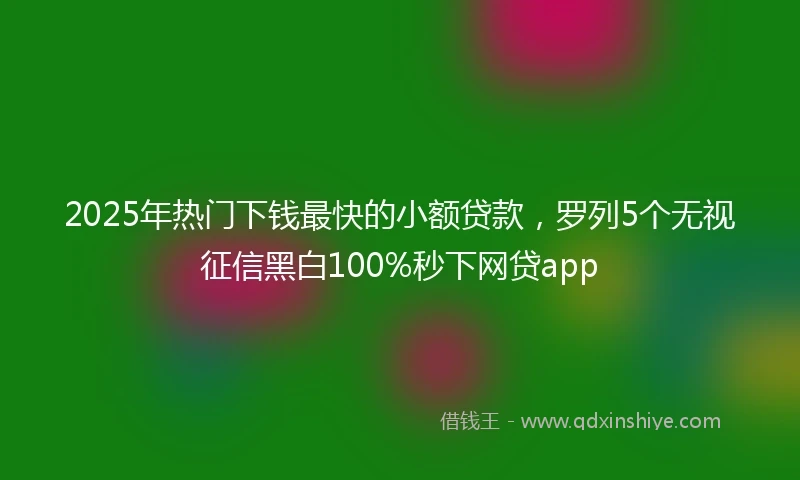 2025年热门下钱最快的小额贷款，罗列5个无视征信黑白100%秒下网贷app