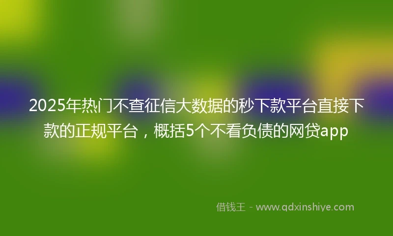 2025年热门不查征信大数据的秒下款平台直接下款的正规平台，概括5个不看负债的网贷app