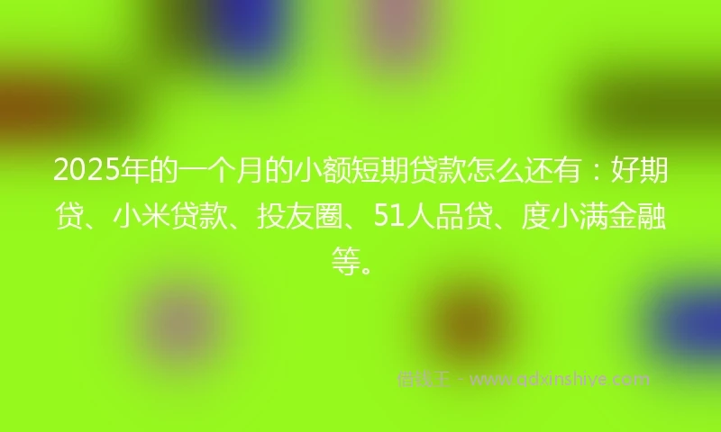 2025年的一个月的小额短期贷款怎么还有：好期贷、小米贷款、投友圈、51人品贷、度小满金融等。