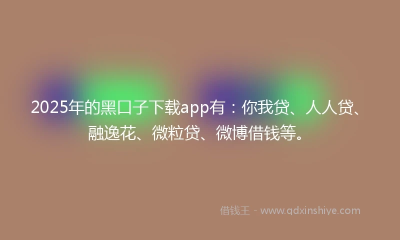 2025年的黑口子下载app有：你我贷、人人贷、融逸花、微粒贷、微博借钱等。