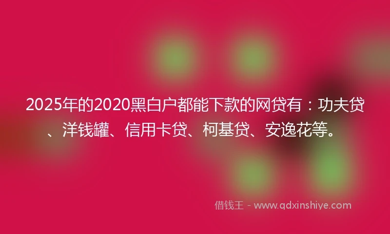 2025年的2020黑白户都能下款的网贷有：功夫贷、洋钱罐、信用卡贷、柯基贷、安逸花等。