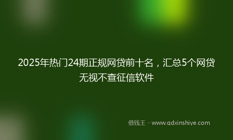 2025年热门24期正规网贷前十名，汇总5个网贷无视不查征信软件