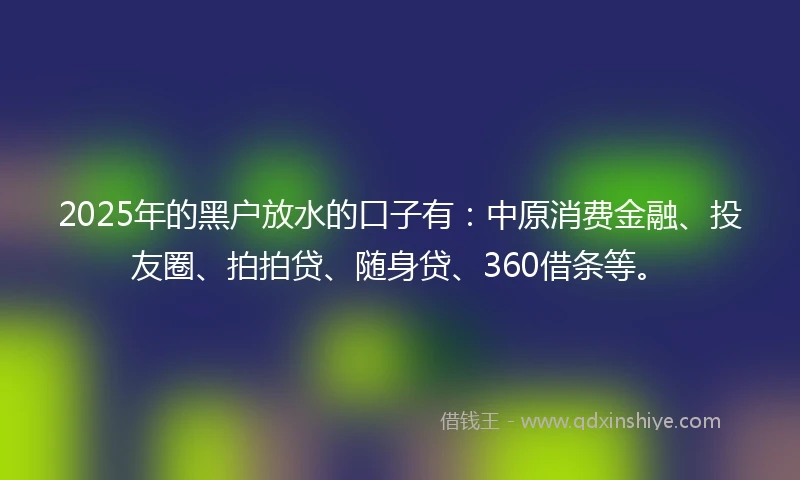 2025年的黑户放水的口子有：中原消费金融、投友圈、拍拍贷、随身贷、360借条等。