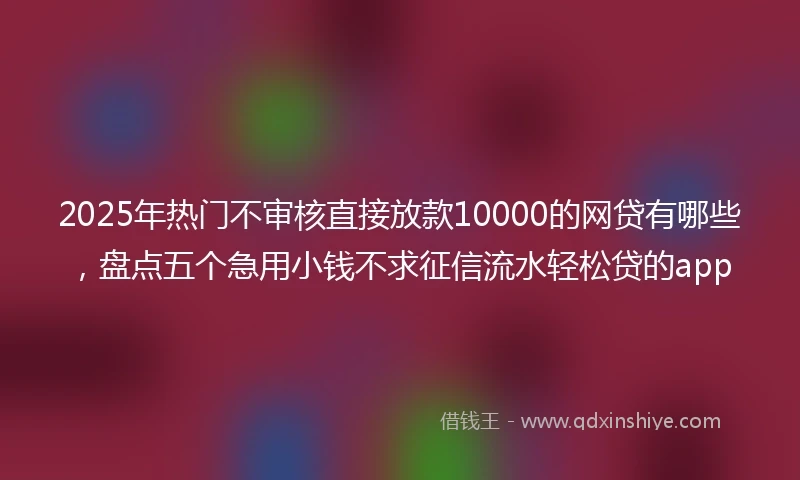 2025年热门不审核直接放款10000的网贷有哪些，盘点五个急用小钱不求征信流水轻松贷的app