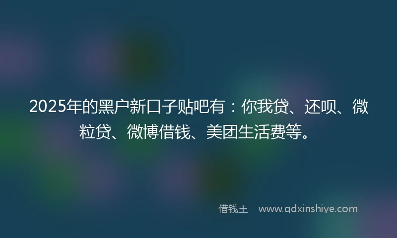 2025年的黑户新口子贴吧有：你我贷、还呗、微粒贷、微博借钱、美团生活费等。