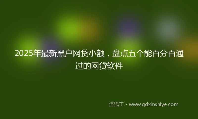 2025年最新黑户网贷小额，盘点五个能百分百通过的网贷软件