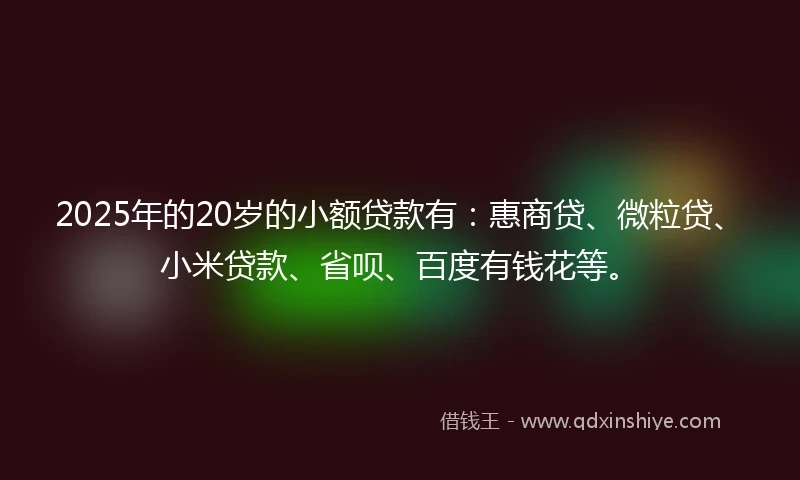 2025年的20岁的小额贷款有：惠商贷、微粒贷、小米贷款、省呗、百度有钱花等。