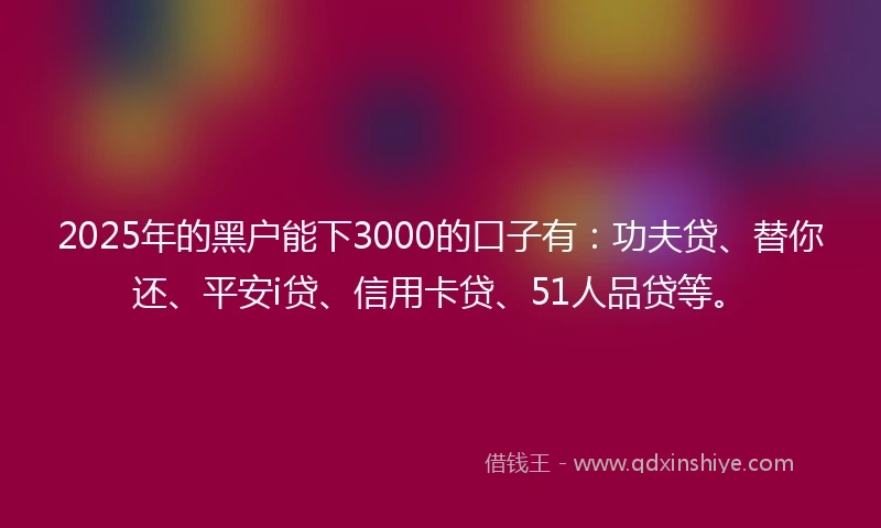2025年的黑户能下3000的口子有：功夫贷、替你还、平安i贷、信用卡贷、51人品贷等。