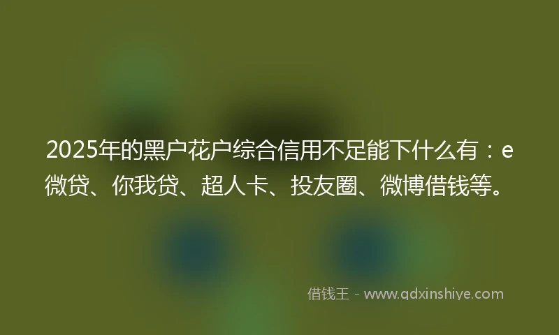 2025年的黑户花户综合信用不足能下什么有：e微贷、你我贷、超人卡、投友圈、微博借钱等。