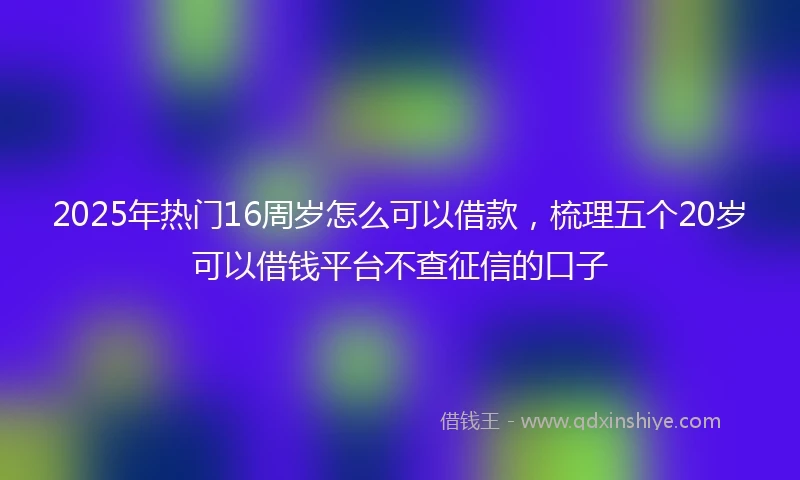 2025年热门16周岁怎么可以借款，梳理五个20岁可以借钱平台不查征信的口子