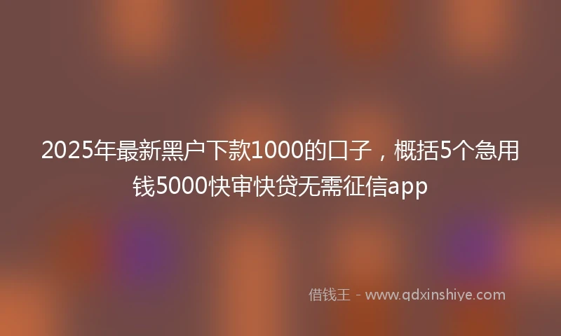 2025年最新黑户下款1000的口子，概括5个急用钱5000快审快贷无需征信app