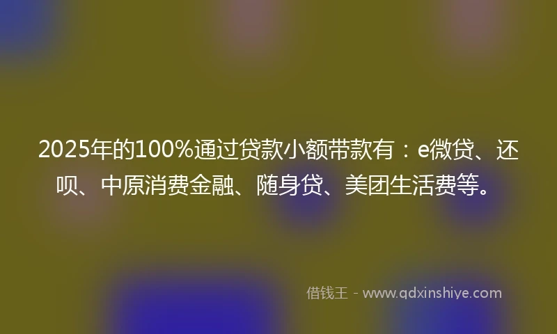 2025年的100%通过贷款小额带款有：e微贷、还呗、中原消费金融、随身贷、美团生活费等。