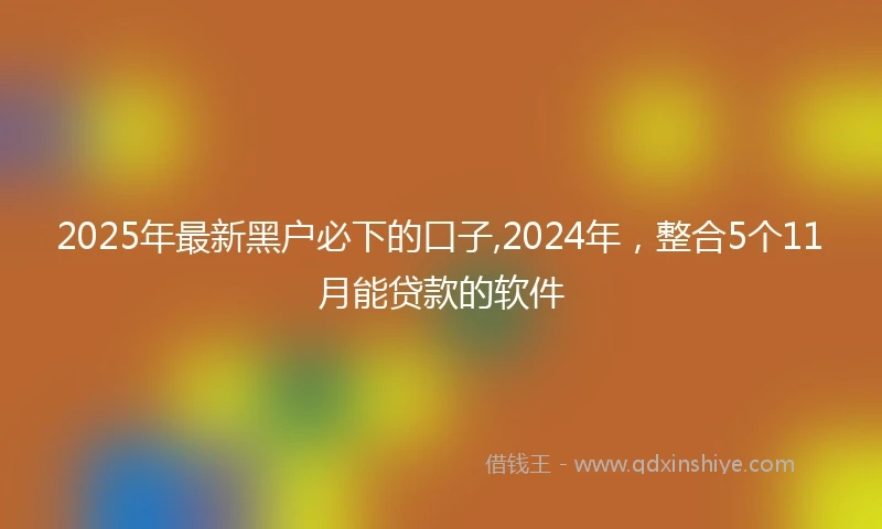 2025年最新黑户必下的口子,2024年，整合5个11月能贷款的软件