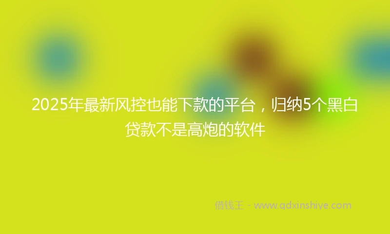 2025年最新风控也能下款的平台，归纳5个黑白贷款不是高炮的软件