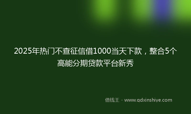 2025年热门不查征信借1000当天下款，整合5个高能分期贷款平台新秀