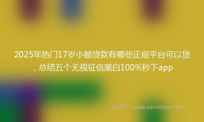 2025年热门17岁小额贷款有哪些正规平台可以贷，总结五个无视征信黑白100%秒下app