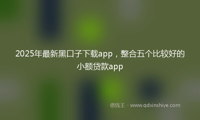 2025年最新黑口子下载app，整合五个比较好的小额贷款app