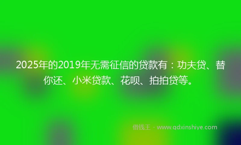 2025年的2019年无需征信的贷款有：功夫贷、替你还、小米贷款、花呗、拍拍贷等。
