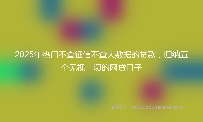 2025年热门不查征信不查大数据的贷款，归纳五个无视一切的网贷口子