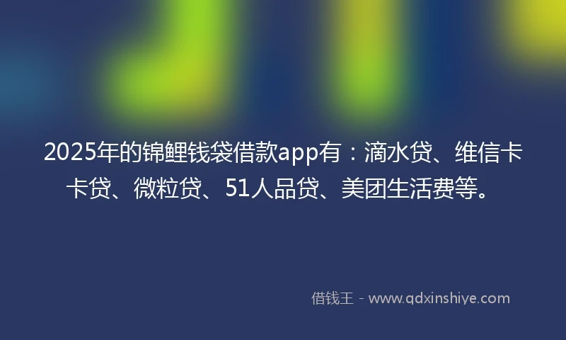 2025年的锦鲤钱袋借款app有：滴水贷、维信卡卡贷、微粒贷、51人品贷、美团生活费等。