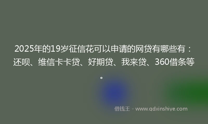 2025年的19岁征信花可以申请的网贷有哪些有：还呗、维信卡卡贷、好期贷、我来贷、360借条等。