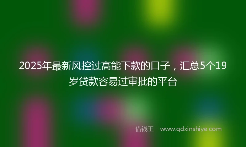 2025年最新风控过高能下款的口子，汇总5个19岁贷款容易过审批的平台