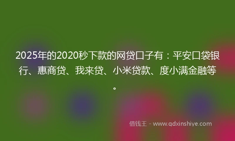 2025年的2020秒下款的网贷口子有：平安口袋银行、惠商贷、我来贷、小米贷款、度小满金融等。