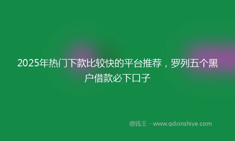 2025年热门下款比较快的平台推荐，罗列五个黑户借款必下口子