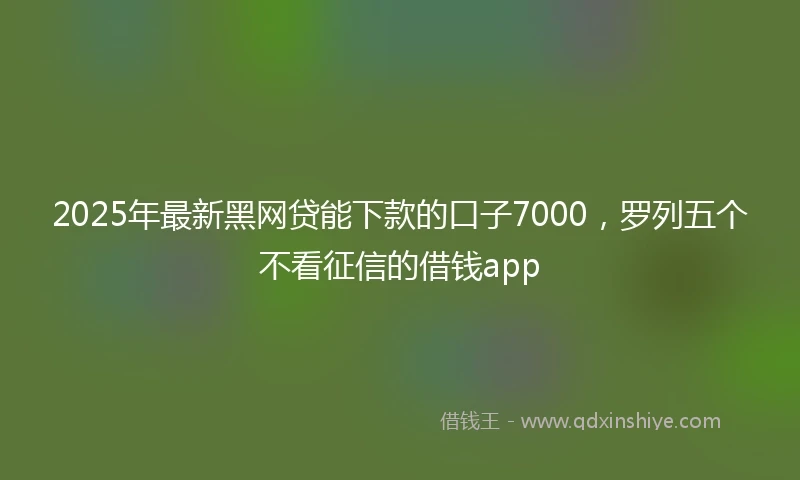 2025年最新黑网贷能下款的口子7000，罗列五个不看征信的借钱app