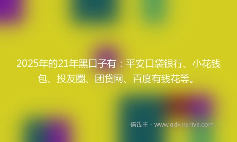 2025年的21年黑口子有：平安口袋银行、小花钱包、投友圈、团贷网、百度有钱花等。