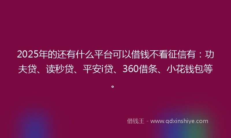 2025年的还有什么平台可以借钱不看征信有：功夫贷、读秒贷、平安i贷、360借条、小花钱包等。