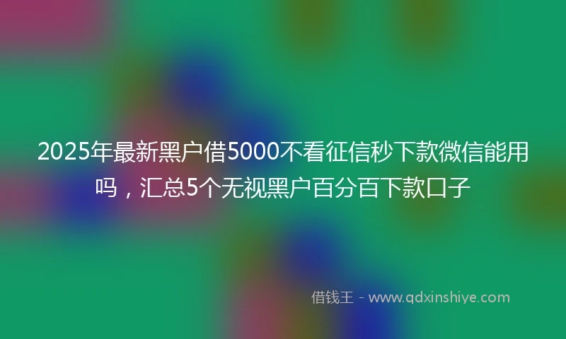 2025年最新黑户借5000不看征信秒下款微信能用吗，汇总5个无视黑户百分百下款口子