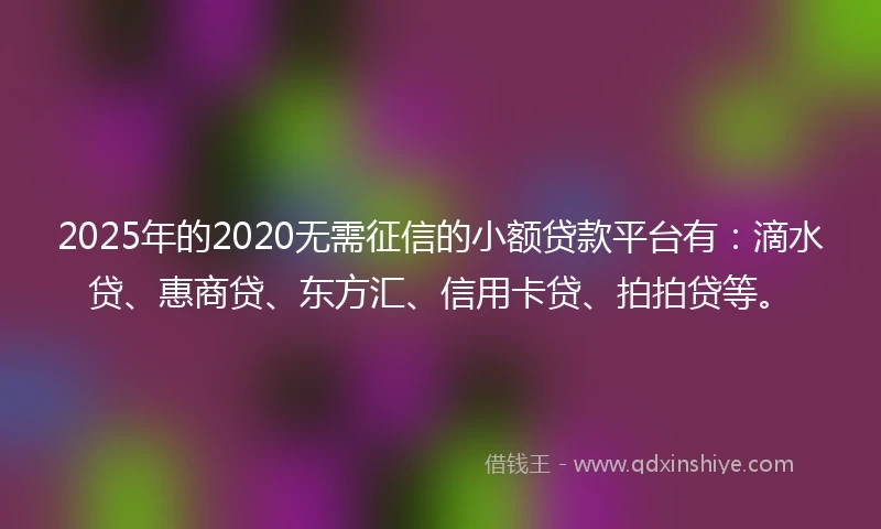2025年的2020无需征信的小额贷款平台有：滴水贷、惠商贷、东方汇、信用卡贷、拍拍贷等。