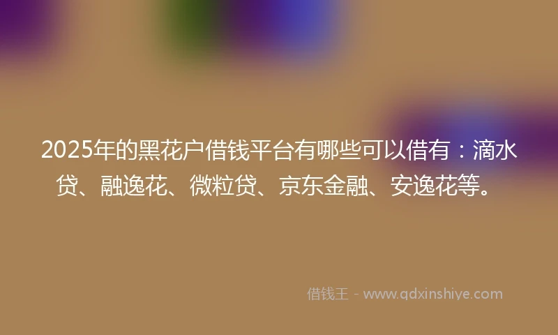 2025年的黑花户借钱平台有哪些可以借有：滴水贷、融逸花、微粒贷、京东金融、安逸花等。