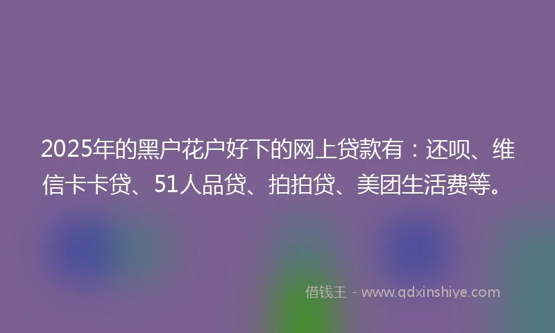 2025年的黑户花户好下的网上贷款有：还呗、维信卡卡贷、51人品贷、拍拍贷、美团生活费等。