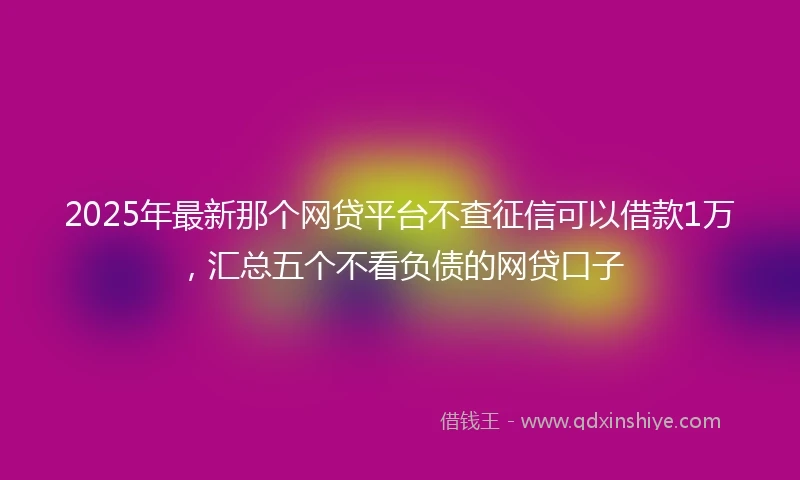 2025年最新那个网贷平台不查征信可以借款1万，汇总五个不看负债的网贷口子