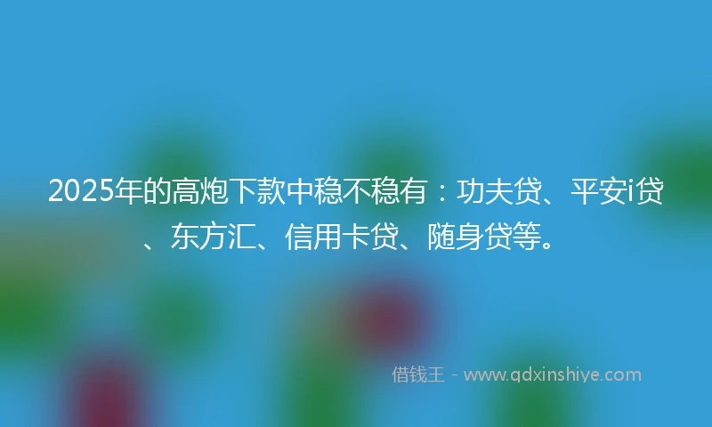 2025年的高炮下款中稳不稳有：功夫贷、平安i贷、东方汇、信用卡贷、随身贷等。