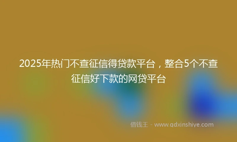 2025年热门不查征信得贷款平台，整合5个不查征信好下款的网贷平台