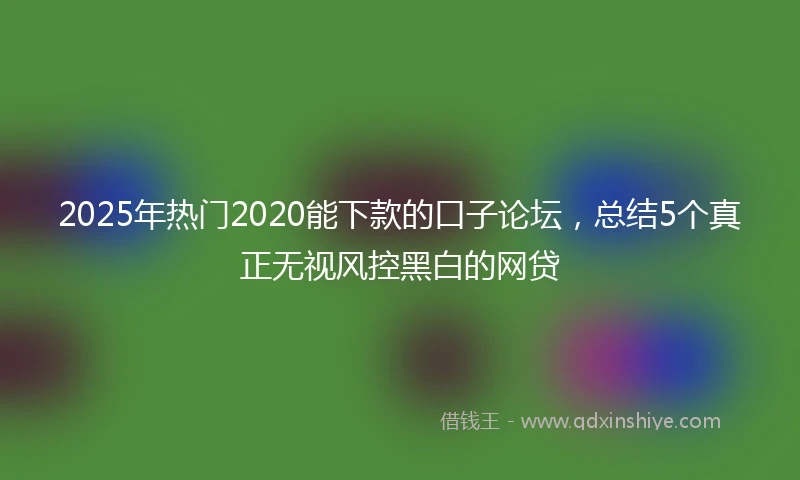 2025年热门2020能下款的口子论坛，总结5个真正无视风控黑白的网贷