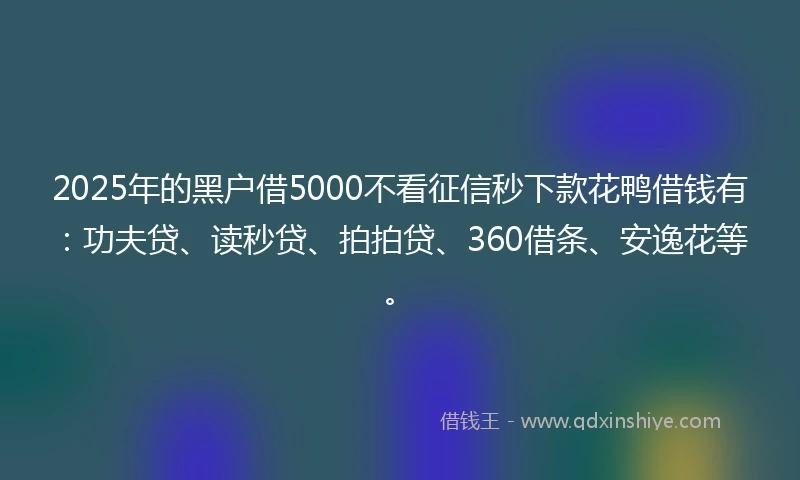 2025年的黑户借5000不看征信秒下款花鸭借钱有：功夫贷、读秒贷、拍拍贷、360借条、安逸花等。