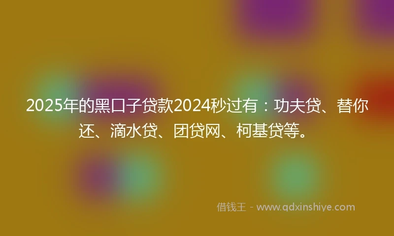 2025年的黑口子贷款2024秒过有：功夫贷、替你还、滴水贷、团贷网、柯基贷等。